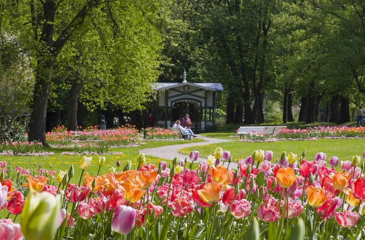 Eckberg Apartment Near City Centre & Nature 巴登-巴登 外观 照片