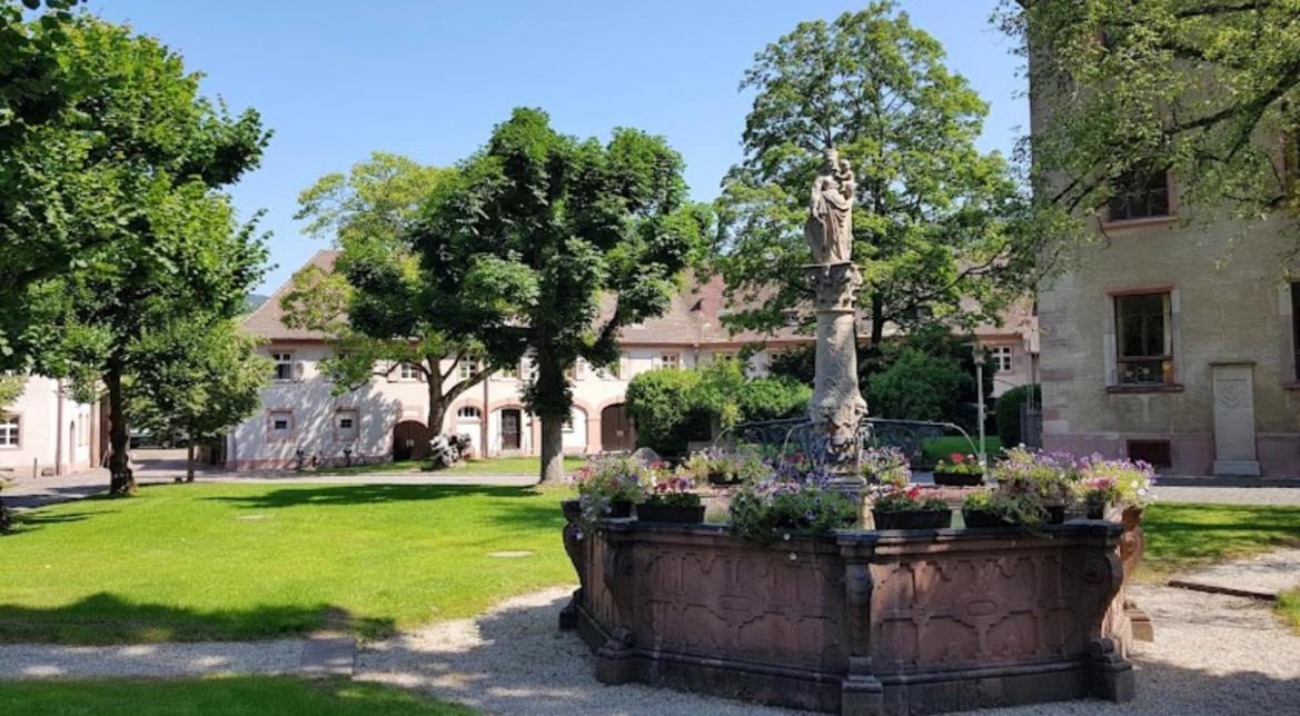 Eckberg Apartment Near City Centre & Nature 巴登-巴登 外观 照片